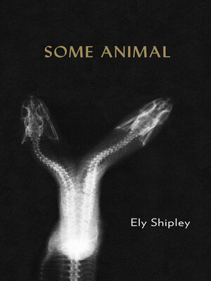 cover image of Some Animal